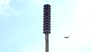 (Fixed) WPS-2810 Siren Test At Fox Lake, IL