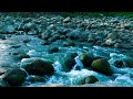 Gentle Stream Sounds to Sleep Better in a Calm Environment