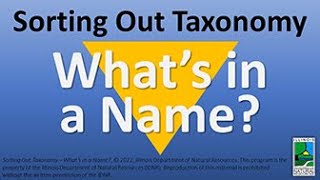Sorting Out Taxonomy - What's in a Name?