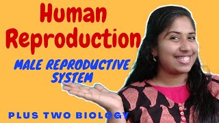 Male Reproductive System  with NEET points | Malayalam | Human Reproduction Class 12 Zoology |Part-2 screenshot 4