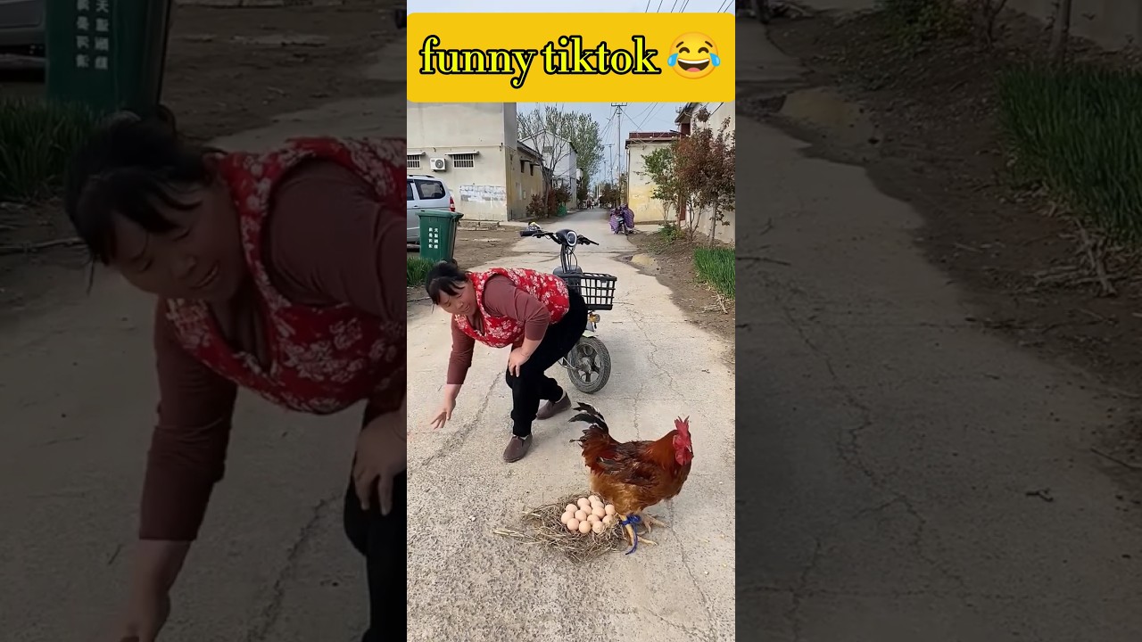 Kwai Comedy Videos 2025 😂 Funniest TikTok Reactions Ever #shorts