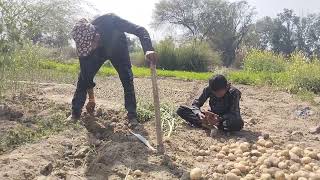 Dihati Vlog Gaav Ka Saport Kariye Ga