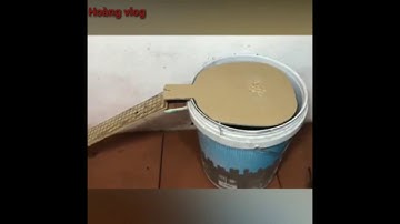 Hướng dẫn cách làm bẫy bắt chuột đơn giản nhất tại nhà