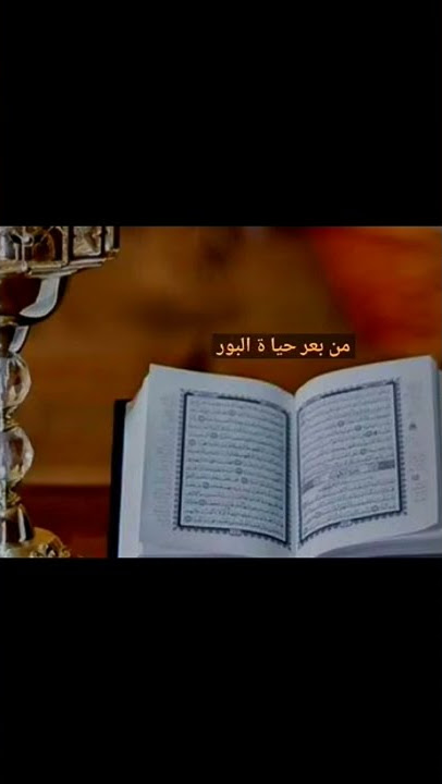 Sholawat Bil qur'ani || #shorts #storywa