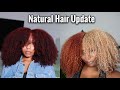 BLEACH RUINED MY HAIR | 5 Month Hair Update With Pictures