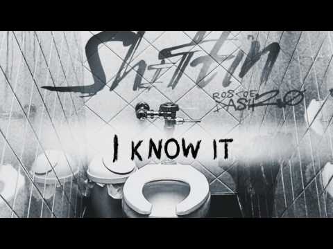 Roscoe Dash - Shittin [Lyrics]
