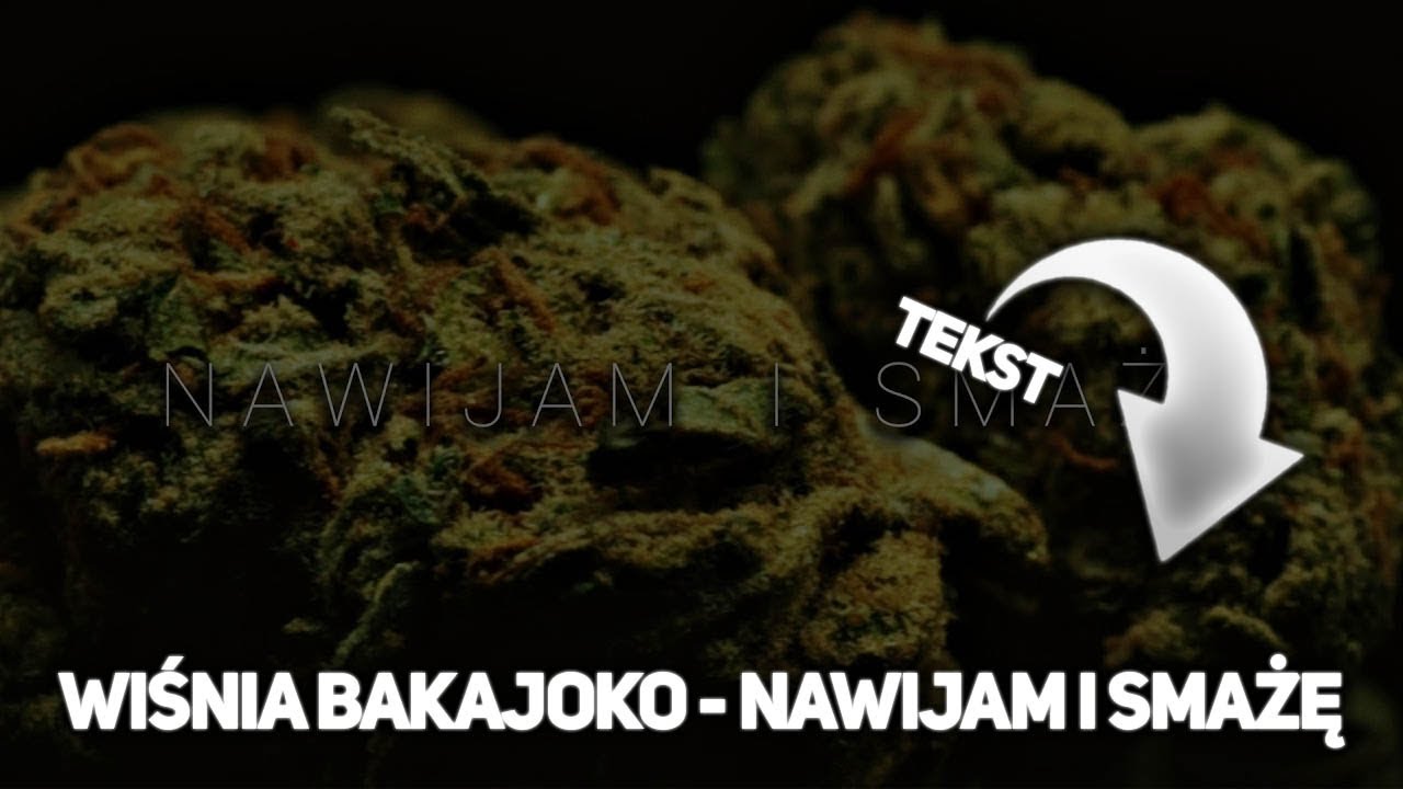 Wisnia Bakajoko Nawijam I Smaze