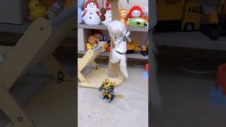 【獨生子的日常】打不过就上树是吧#小奶猫 #小奶猫 #小猫咪能有什么坏心眼 #猫咪成精#小奶喵#Cutecats #萌寵 #Cat #動物 #Cute #Funnycat #Pet