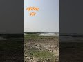 পাখি উড়ে গেল॥#travel #birdwatching #kutch #migrantbird #flemingo #crane #bikequest #india #bikeride