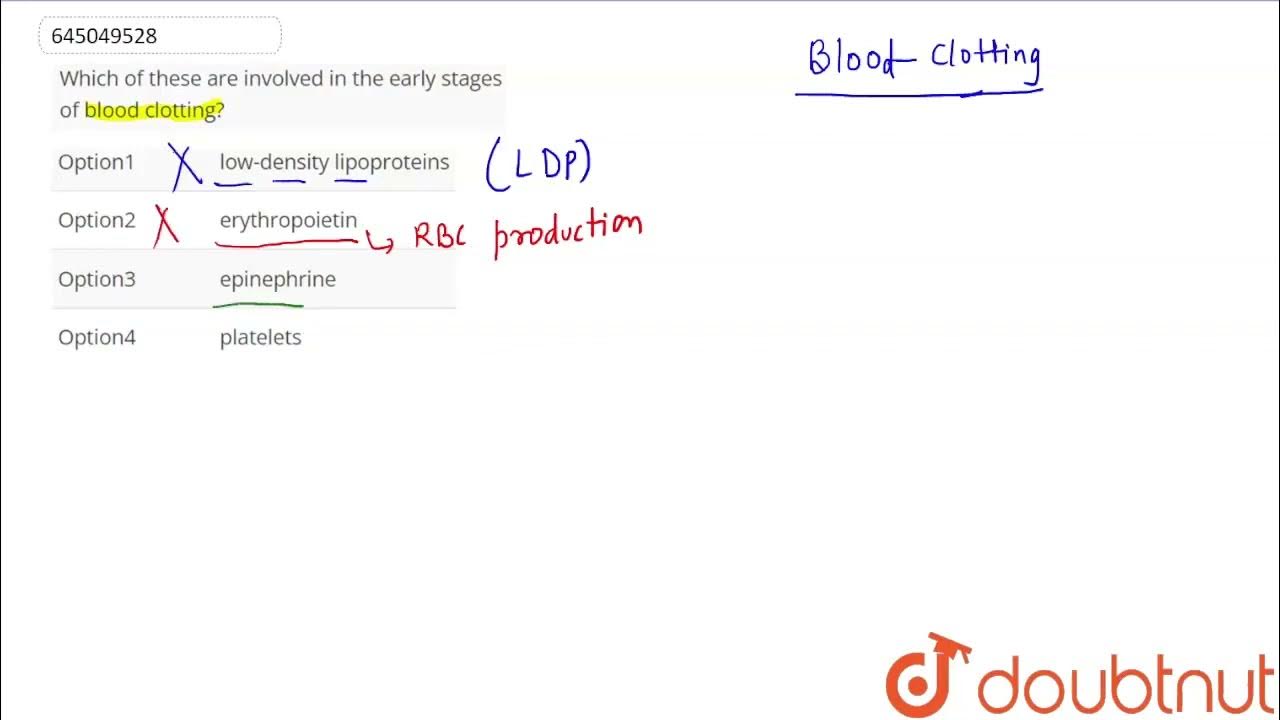 which-of-these-are-involved-in-the-early-stages-of-blood-clotting