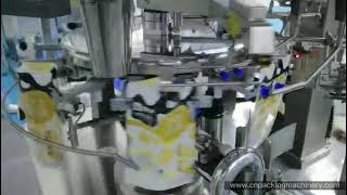 YD-230A premade pouch rotary packing machine for candy packaging