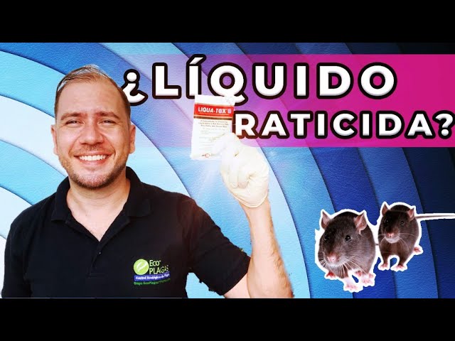 cráter Cooperación Molesto Cómo usar el Líquido Raticida Liquatox | How to use Liquatox - YouTube