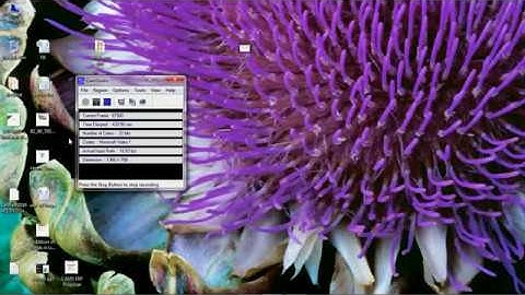SAP | SAP Sales and Distribution | SAP Education Video