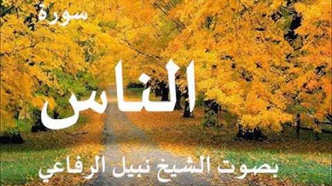 سورة الناس بصوت الشيخ   نبيل الرفاعي 114