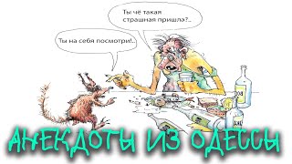 Анекдот про алкаша - Анекдоты из Одессы №230 про пьяных.