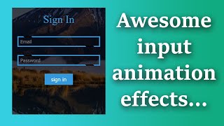 input animation effects | input animations with html css