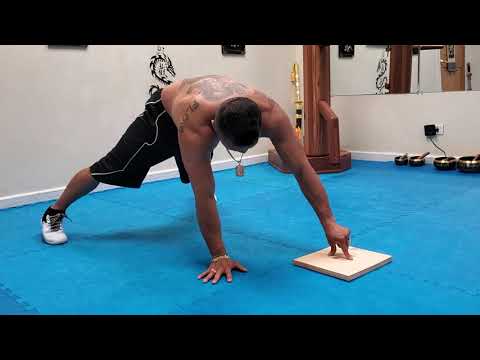 Como fazer uma de 2 dedos Pushup - Kung Fu Academia Training