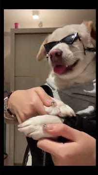 Welcome to listen to dj Xiaobai s random ramblings#Chen Haonan#dj#Slow shake