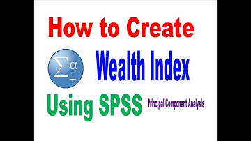 How to create Wealt Index Using SPSS Amharic Lecture