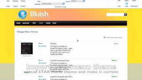 STAR DNN skin installation