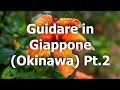 Guidare in Giappone, Okinawa Pt.2