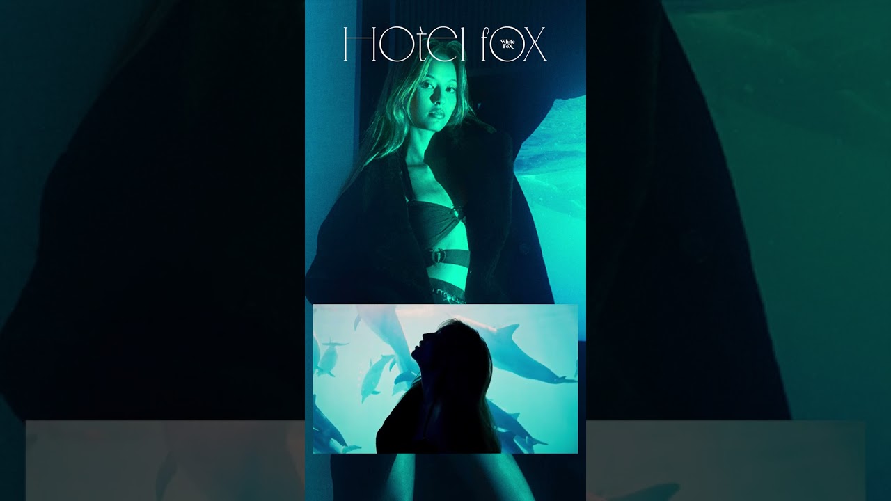 🛩️🏨🧳Experience all #HotelFox has to offer this week.