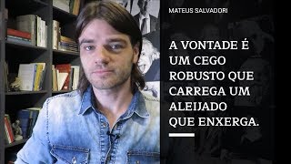 Schopenhauer E O Mundo Como Vontade E Representação