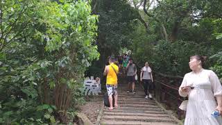 台北近郊景點 - 象山親山步道- 台灣爬山