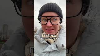 #микро #чихуахуа #шпиц #микрочихуахуа #собачники #юмор #смешное