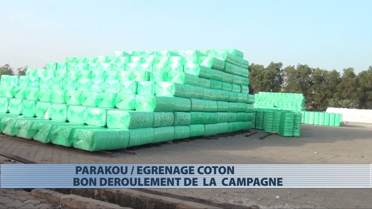 Parakou : constat du déroulement de l'égrenage de coton dans les usines