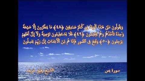 الشيخ رفيق خريف صلاة العشاء 29 رمضان 1438 هـ - ما تيسر من سورة يس