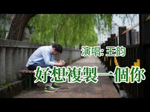 🎼  [ 好想複製一個你 ]  🎼  演唱: 王韵
