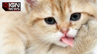 Did Mit Just Develop The Most Difficult Tongue Twister? - Ign News