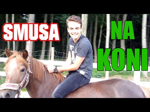 Smusa na koni