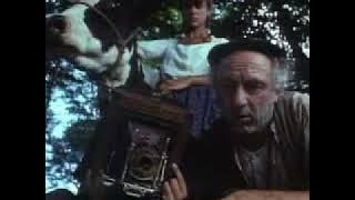 Vacas (1992)