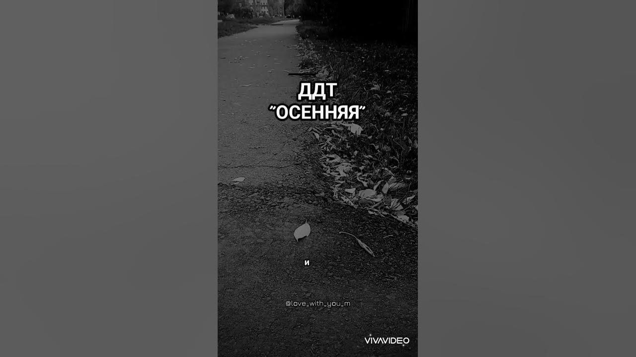 ДДТ "Осенняя" #shortsvideo #video #short #shorts #rock - YouTube