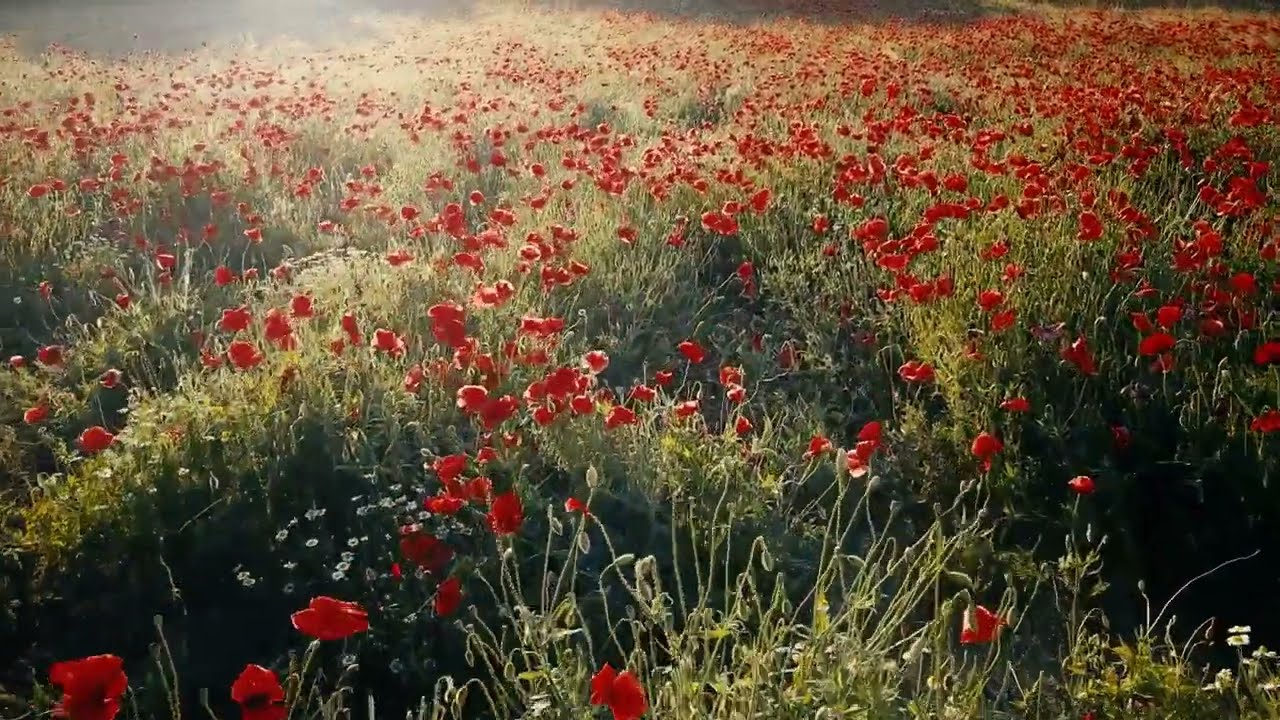 Inspirational Peaceful Lovely Beautiful Instrumental Music