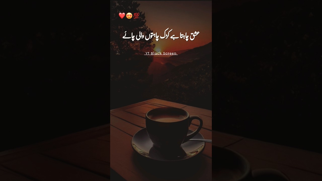 Tea Lover Status | Tea Lover Shorts | Tea Lover Poetry in Urdu