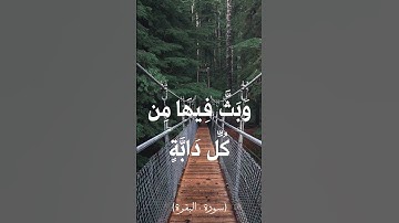 قرآن كريم بصوت الشيخ حسن صالح .. دقيقه من سورة البقرة
