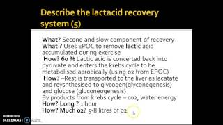 A2 EXERCISE PHYSIOLOGY SCREENCAST EXAM 2 A
