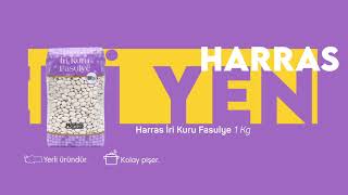 Filenin En Yeni Üyesi Harras İri Fasulye