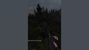 The Worst Sound Anyone Can Hear in Stalker Gamma #shorts #stalker2 #stalker #anomaly #stalkeranomaly