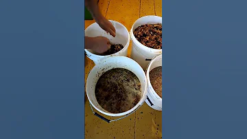 Отжимаем забрус от медовой сыты, куда потом её можно использовать?
