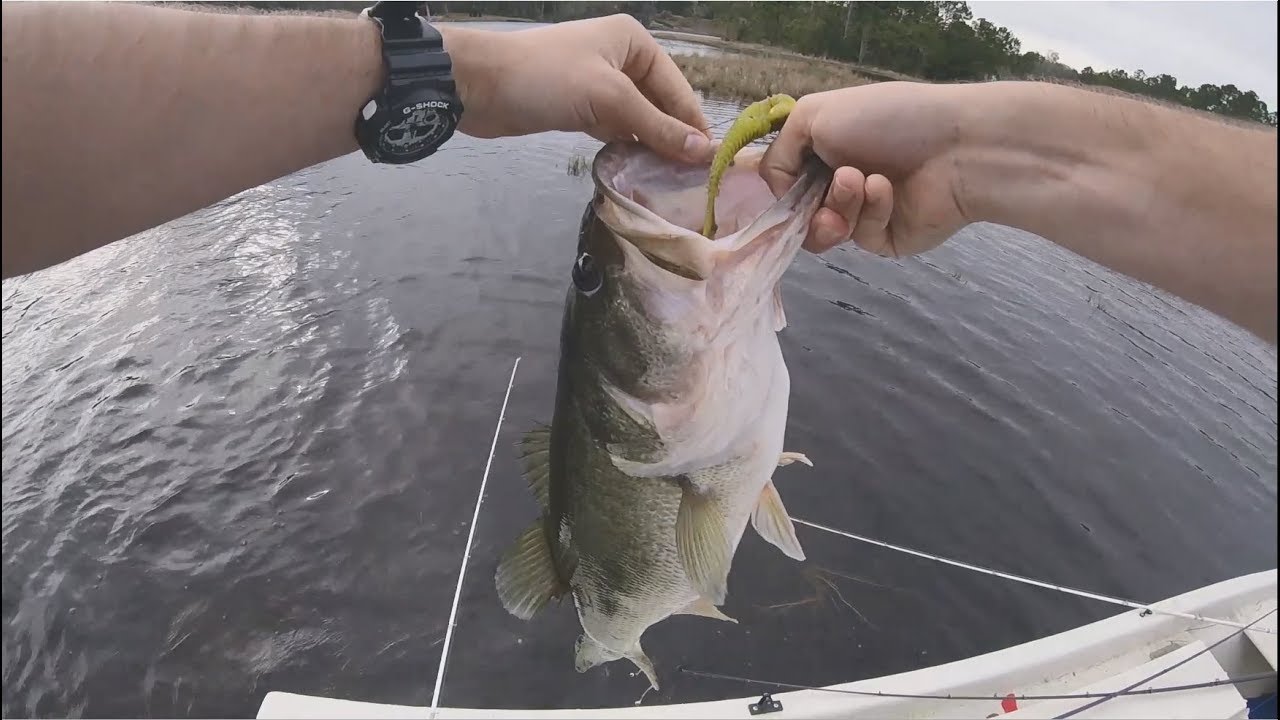 Swimbaits for bass