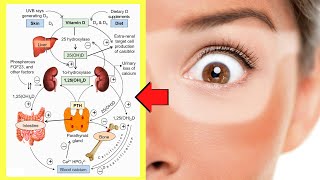 10 Most Common Vitamin D Myths  BUSTED