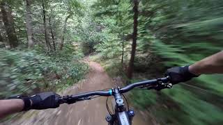 Skeggs MTB - Steam Donkey Trail lower part