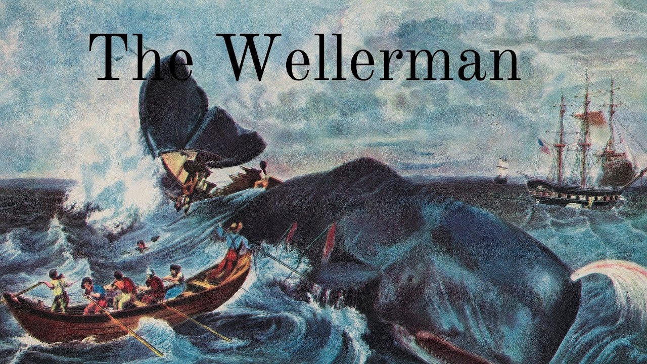 The Wellerman (Traditional sea shanty) - YouTube