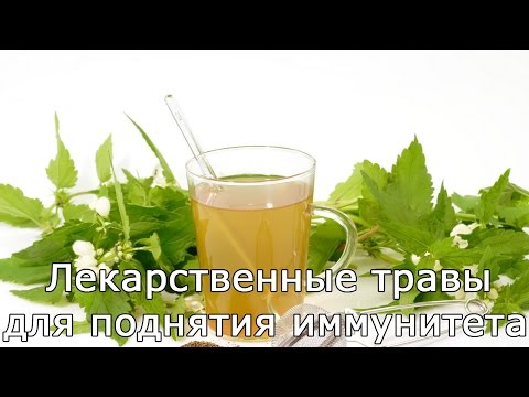 Лекарственные травы для поднятия иммунитета