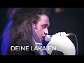 Deine Lakaien - Reincarnation (Live Acoustic Tour 1992)