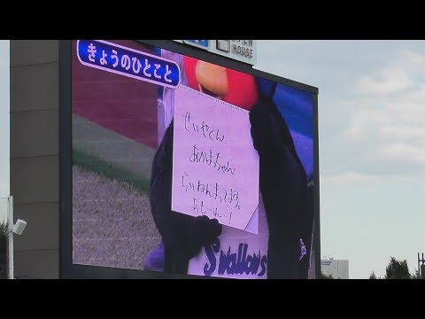 【つば九郎 きょうのひとこと】 2017/9/3 広島東洋カープ スタメン発表